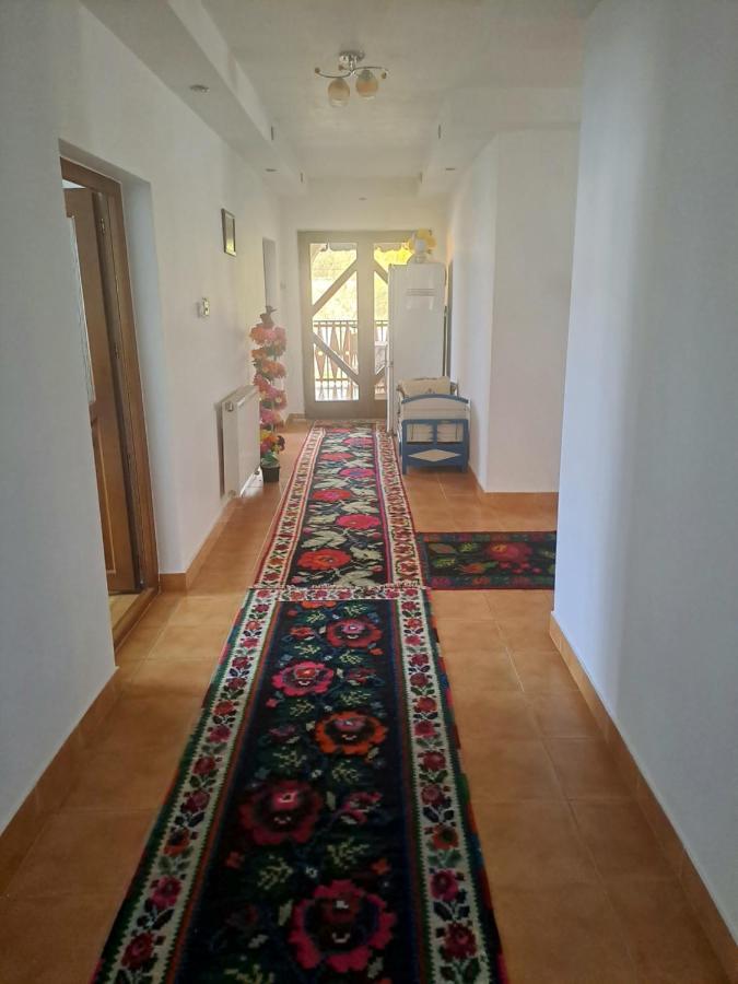 Pensiunea Rednic Lenuta Giulesti Exterior foto