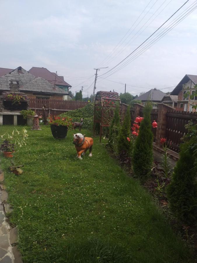 Pensiunea Rednic Lenuta Giulesti Exterior foto